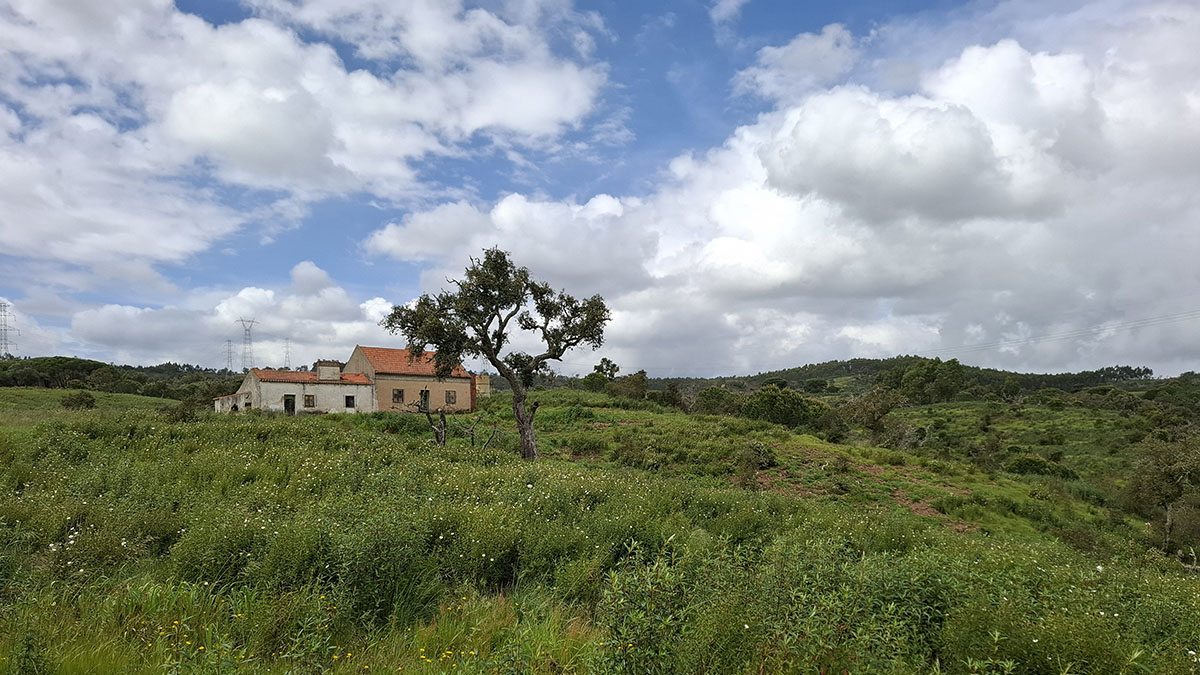 Monte Horizonte 